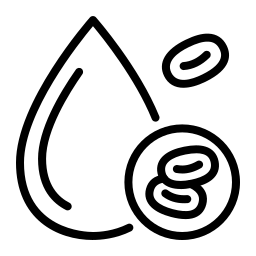 Video Consultation Icon